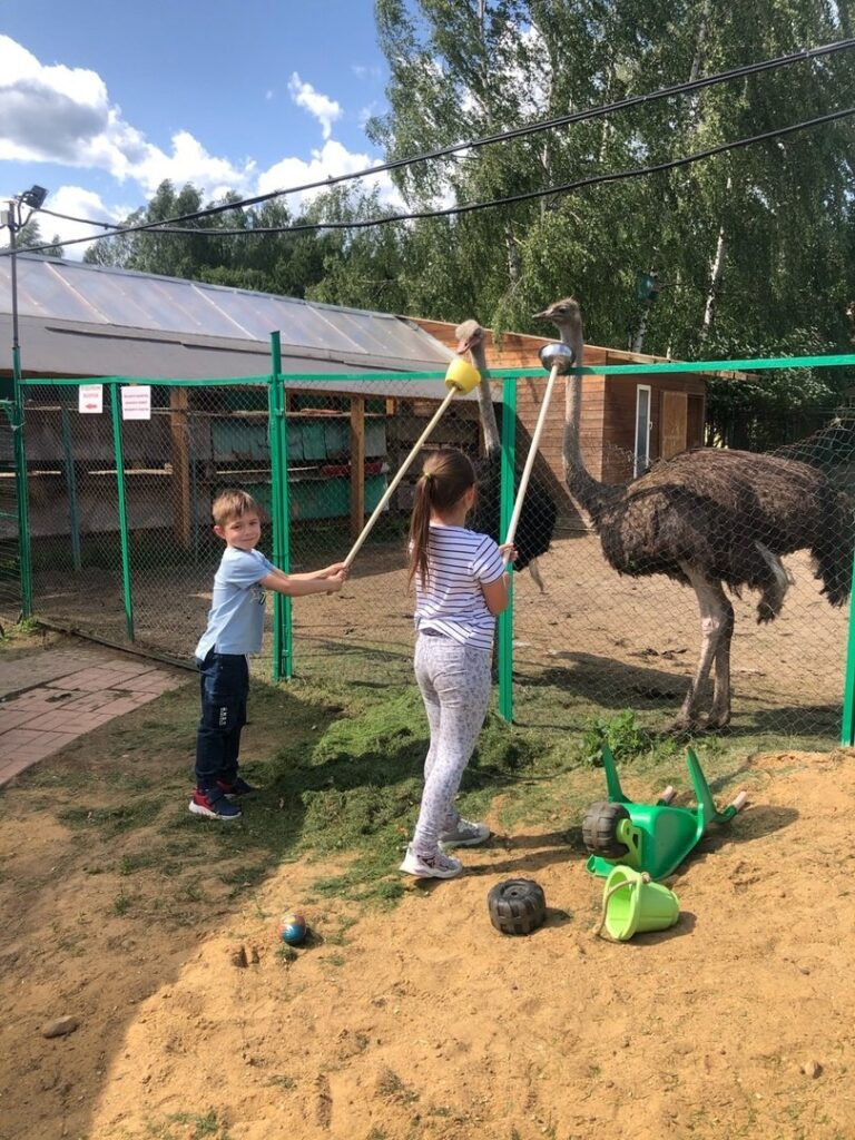 Эко-отдых с ребенком в Подмосковье - Мини ферма Страус